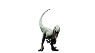 Jurassic world delta raptor by camo flauge dcslkwd-fullview