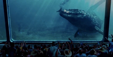 Шоу "Кормление Мозазавра"