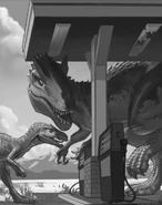 Concept card art