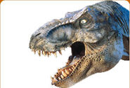 Tyrannosaurus rex in the Jurassic Park Institute.