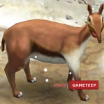 Level 30