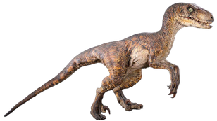 Jurassic Park III, Dinosaur Wiki