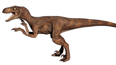 jurassiraptor — Raptor claws Q: Why does the raptor claw Grant