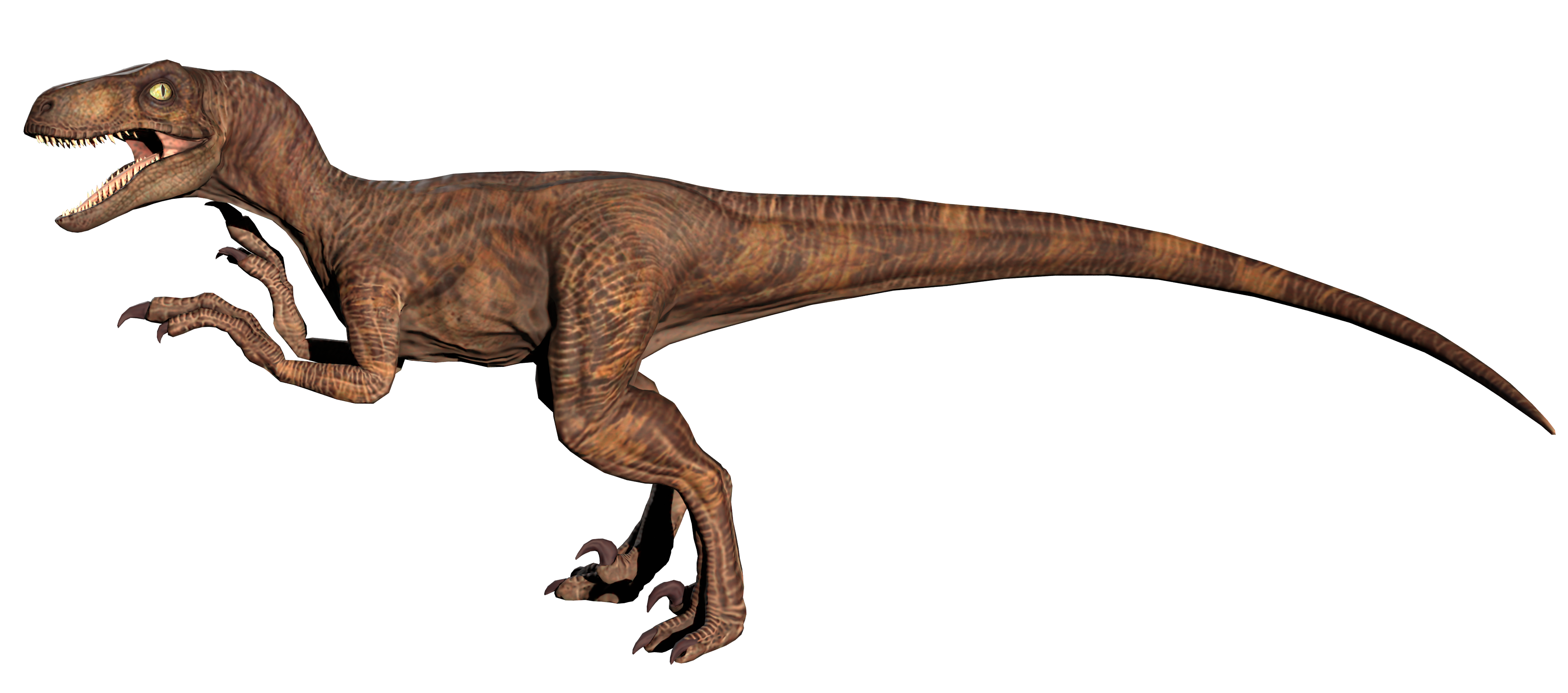Pterosaur, Jurassic Park Wiki