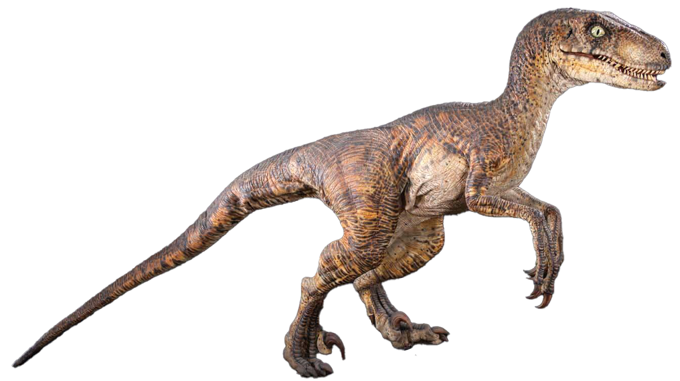 Velociraptor, Jurassic Park Wiki