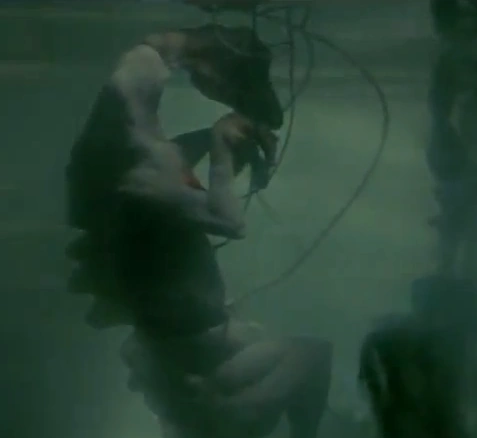 jurassic world dinosaur egg