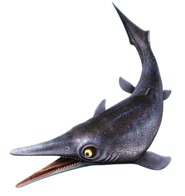 Jw Barracudasaurus-removebg-preview