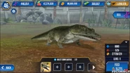Level 11