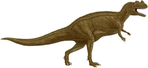 B4184f4bfc5b92c042661e5b87827181.jpg (17 kB)