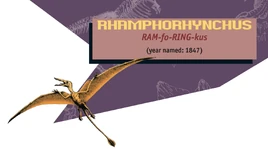 Jurassic Park Jurassic World Guide Rhamph