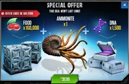 Ammonite Special Offer