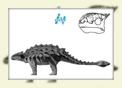 Ankylosaurus2 (2).jpg