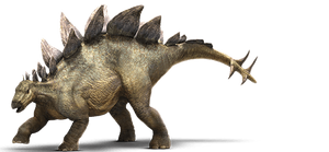 Stegosaurus-info-graphic.png