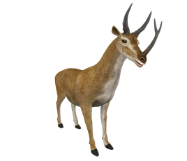 Synthetoceras-render-10