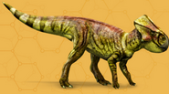 Microceratusfournew