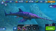 Level 30