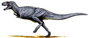 Albertosaurus jpi
