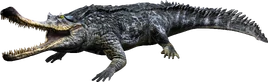 Gryposuchus