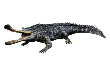 Deinosuchus (survival of the fittest canon), Jurassic Park Fanon Wiki