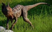 Dilophosaurus jwe