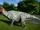Edmontosaurus