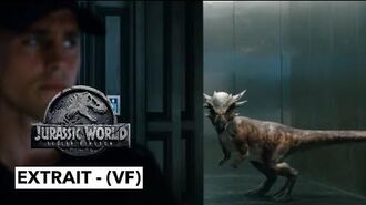 Jurassic_World_-_Fallen_Kingdom_-_extrait_-_Stiggy_interrompt_les_enchères_!_-_(VF)