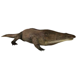 Metoposaurus-render-10