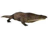 Metoposaurus