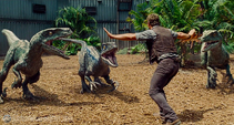 Owen-establishes-dominance-within-the-raptor-pack-in-this-new-jurassic-world-movie-clip.png
