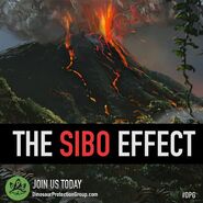 DPG - The Sibo effect