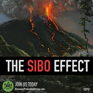 DPG - The Sibo effect.jpg (39 КБ) Эффект Сибо