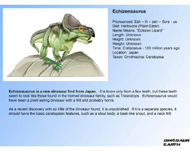 Echizensaurus orig