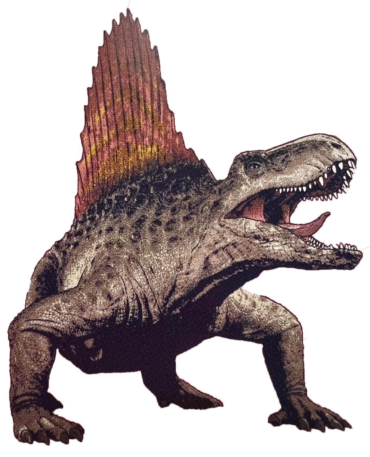 Dimetrodon | Jurassic Park Wiki | Fandom Dimetrodon | Jurassic Park Wiki | Fandom