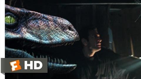 The Lost World Jurassic Park (6 10) Movie CLIP - Raptor vs