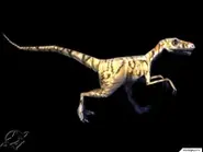 Jurassic 13.webp (3 kio) Troodon