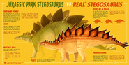 Jurassic Park Stegosaurus vs Real Stegosaurus