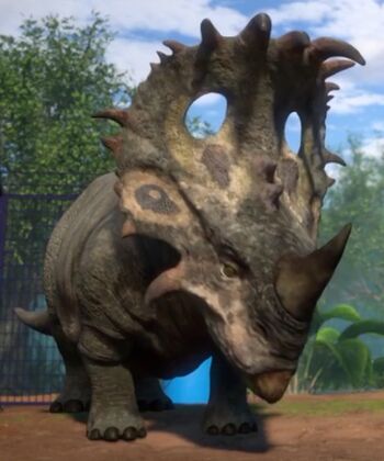 Sammy calls the Sinoceratops “Maria”