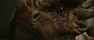 Stygi eye-300x129