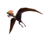 Dimodactylus