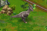 Baby Parasaurolophus