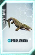 Prognathodoncard.jpg (26 kB)