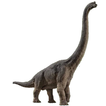 ブラキオサウルス ジュラシック パーク Wiki Fandom