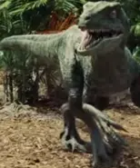 Blueraptor.webp (25 kio)