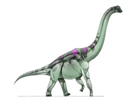 JPI Atlasaurus
