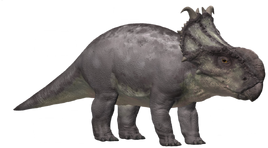 Pachyrhinosaurus HD