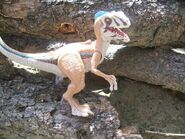 Velociraptor figure from the Jurassic Park 2009 toyline. (Image courtesy of JPToys.com)