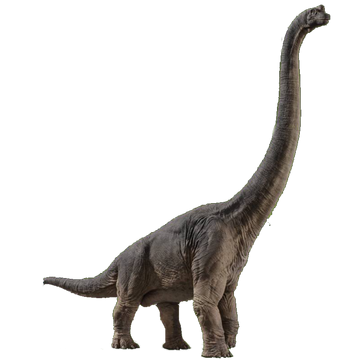 Amazon.co.jp: マテル ジュラシックワールド(JURASSIC WORLD