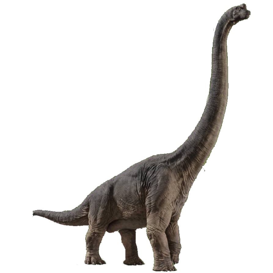 ブラキオサウルス | ジュラシック・パーク Wiki | Fandom