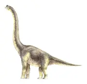 Concept Art d'un Brachiosaurus de  par .