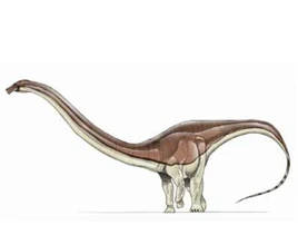 JPI Barosaurus